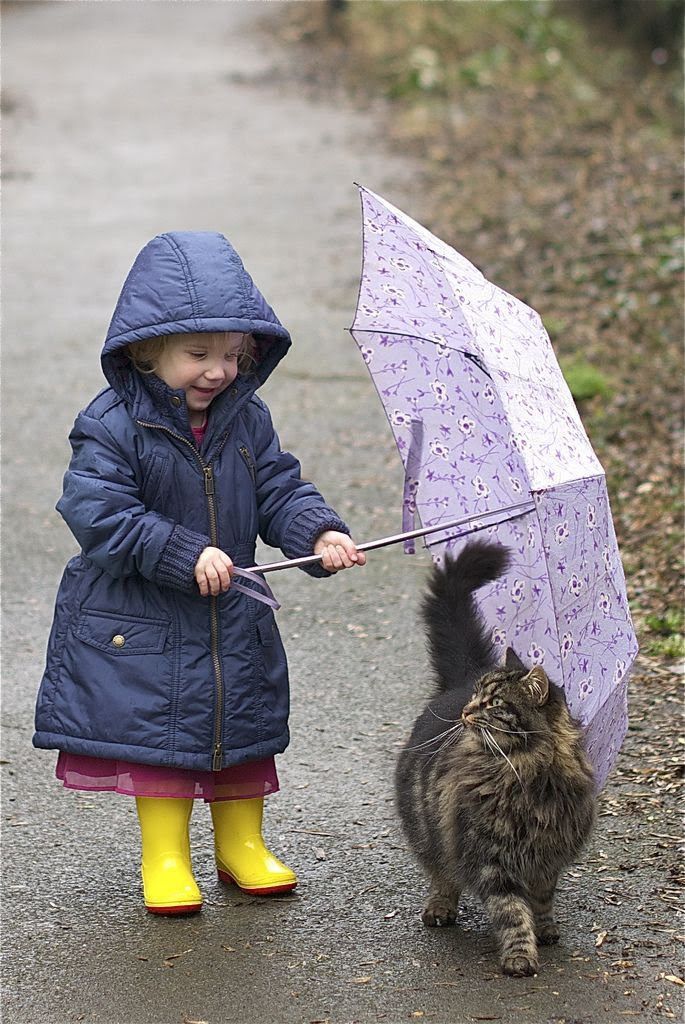 Introducing a cat to baby equipment before the newborn arrives