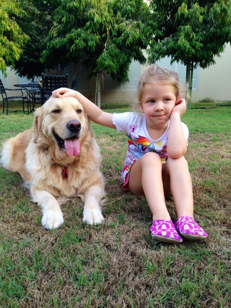 Avoiding common mistakes when introducing a dog to a newborn.