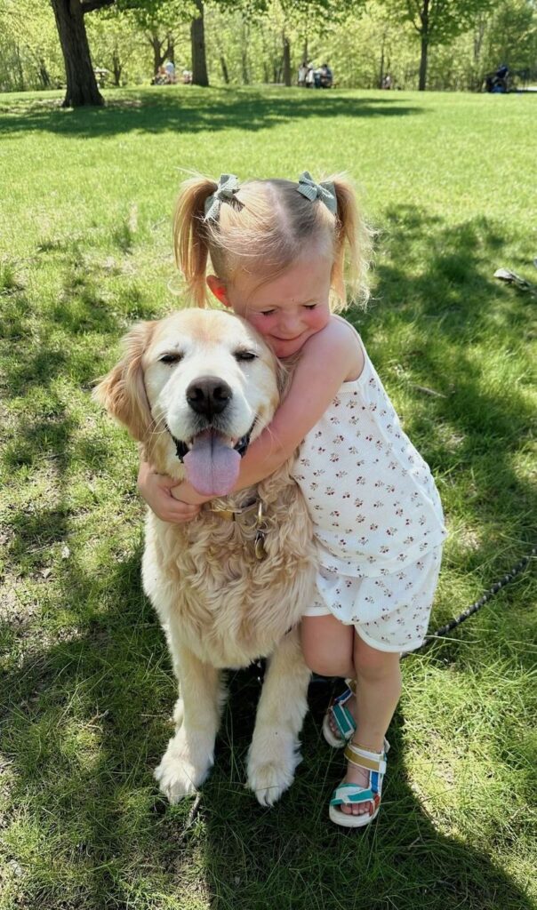 Avoiding common mistakes when introducing a dog to a newborn.
