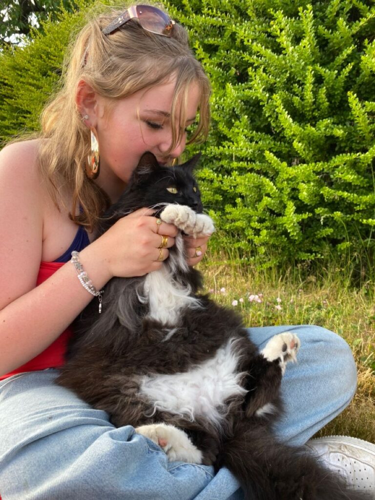 Keeping a cat’s routine consistent before welcoming a baby.