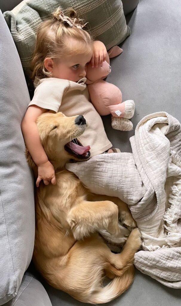 Checklist for introducing a family dog to a new baby.