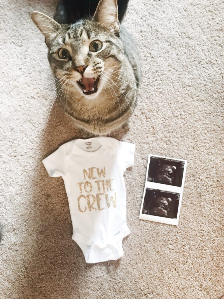 How to Prepare Your Cat for Baby’s Arrival