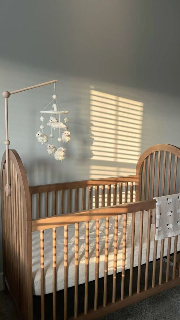 Bassinet vs Crib: Which Should You Choose for Your Baby?