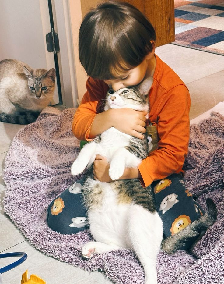 Keeping a cat’s routine consistent before welcoming a baby.