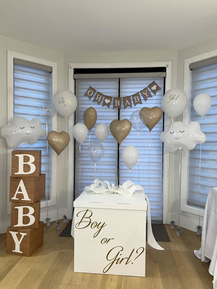 baby reveal decorations