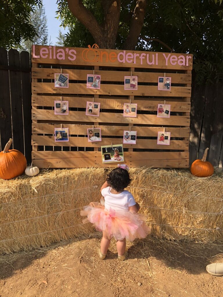 baby girl birthday decorations