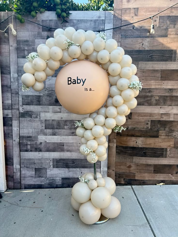 baby reveal decorations