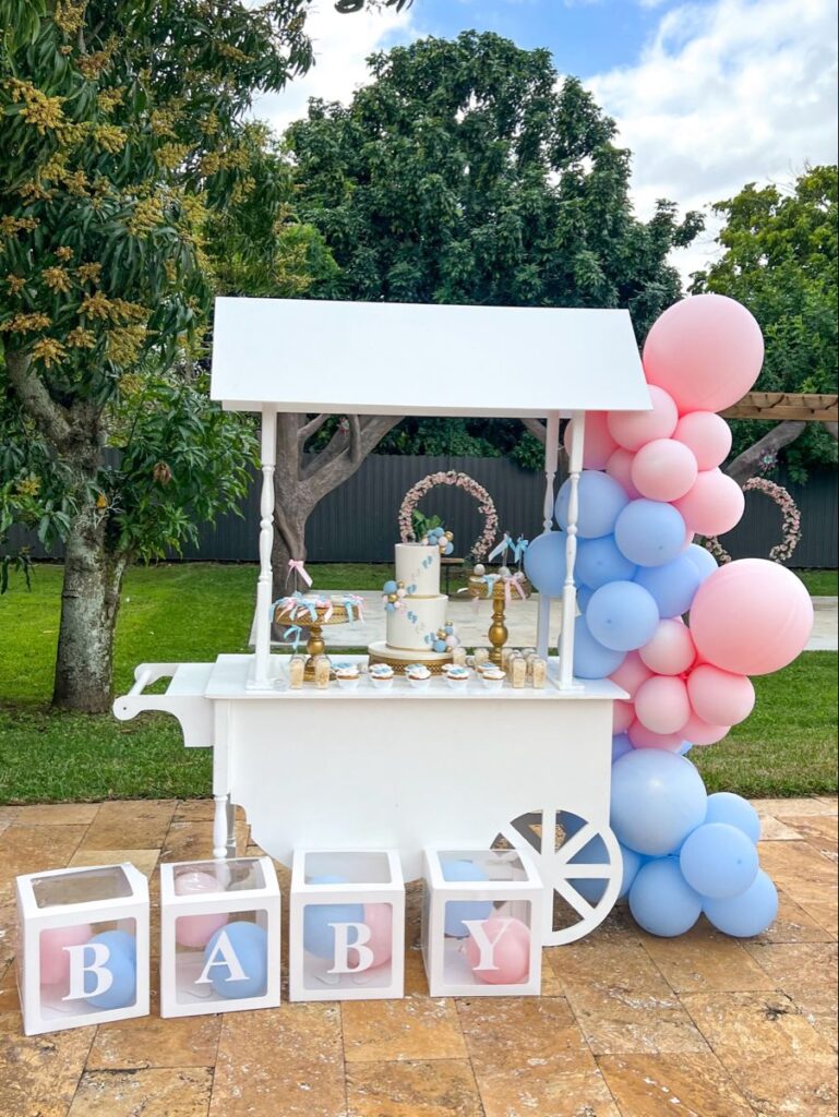 gender reveal decorations
