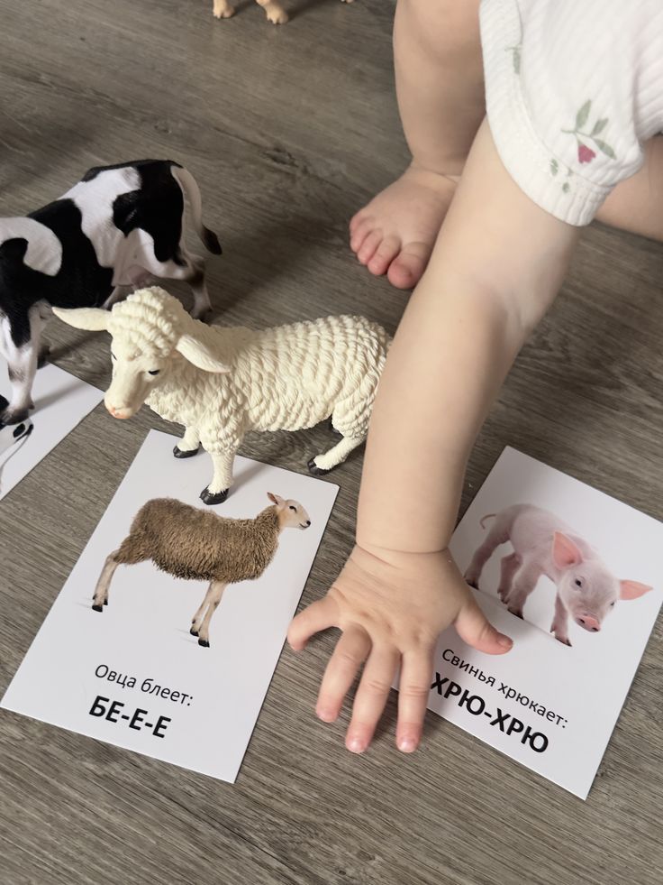Montessori Activities for 6-Month-Old Babies