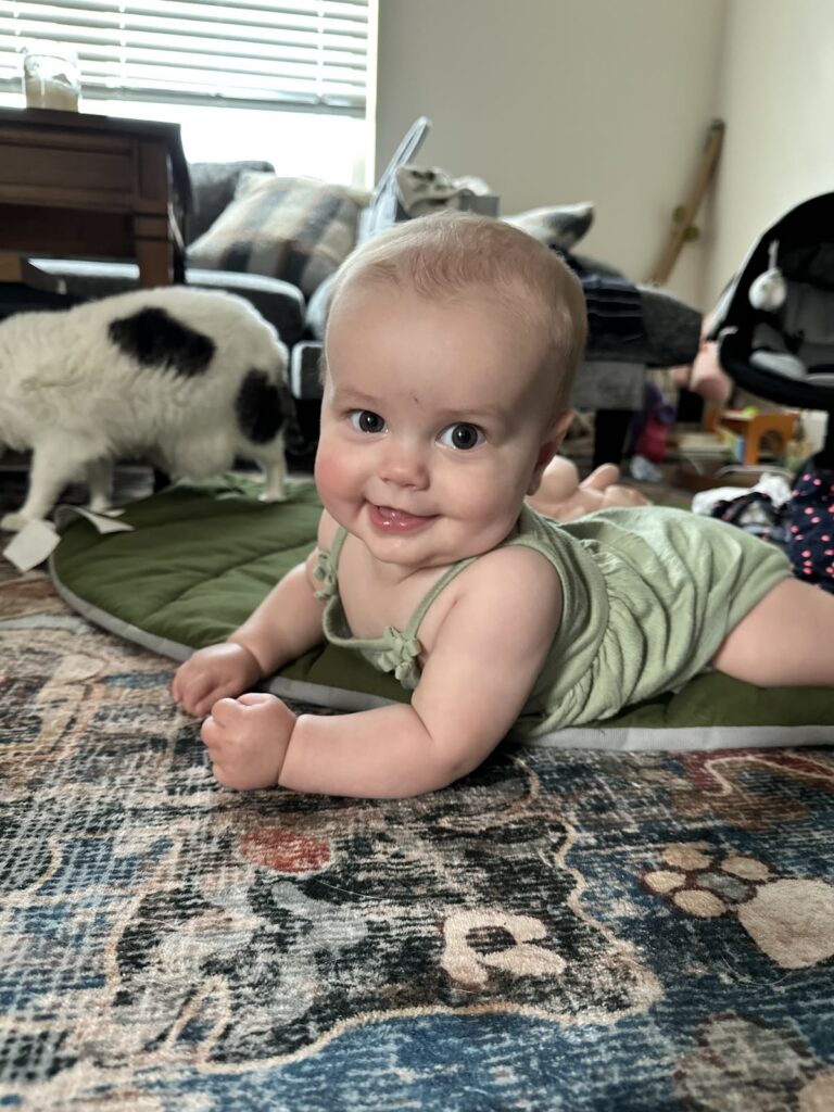 crawling games for babies