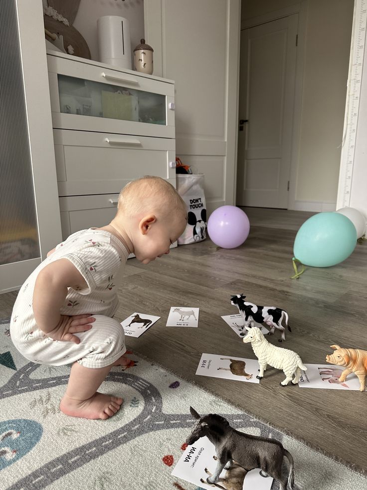 Montessori Activities for 6-Month-Old Babies