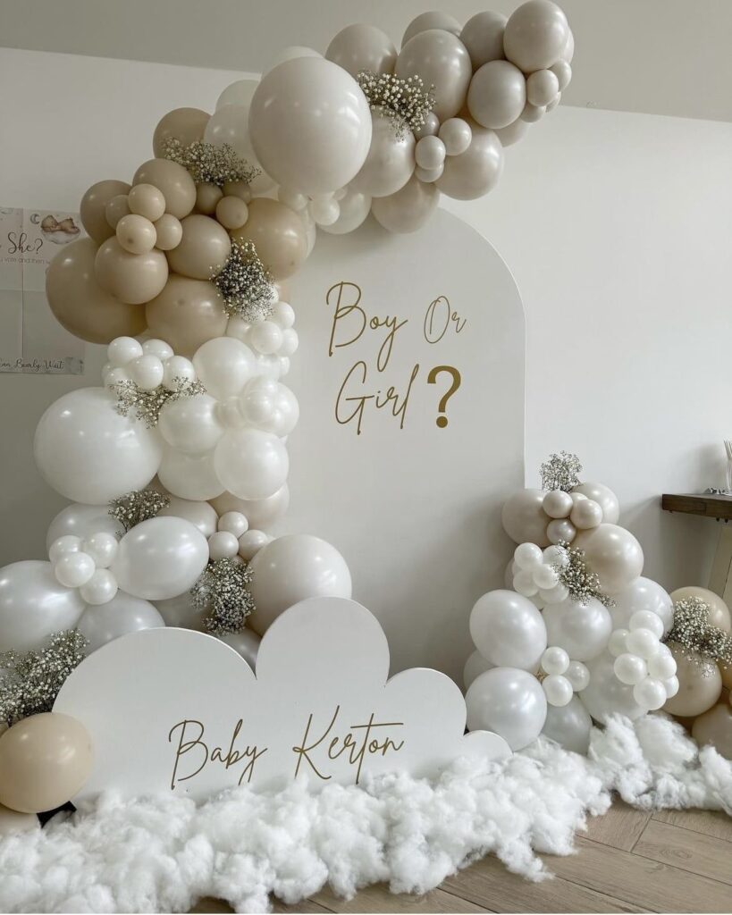 Gender Reveal Decoration Ideas