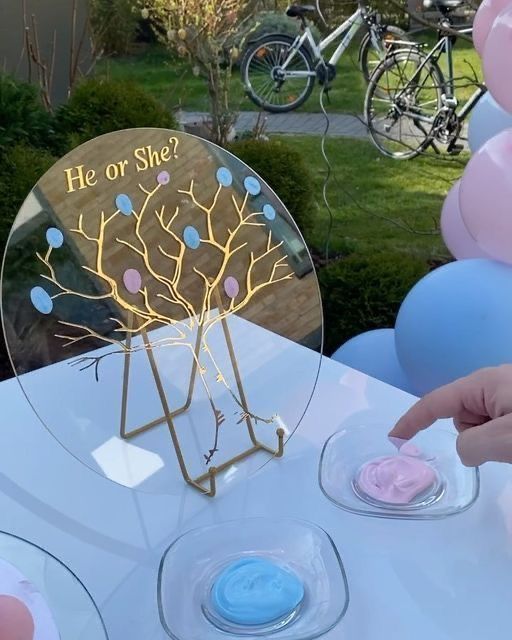 baby gender reveal ideas