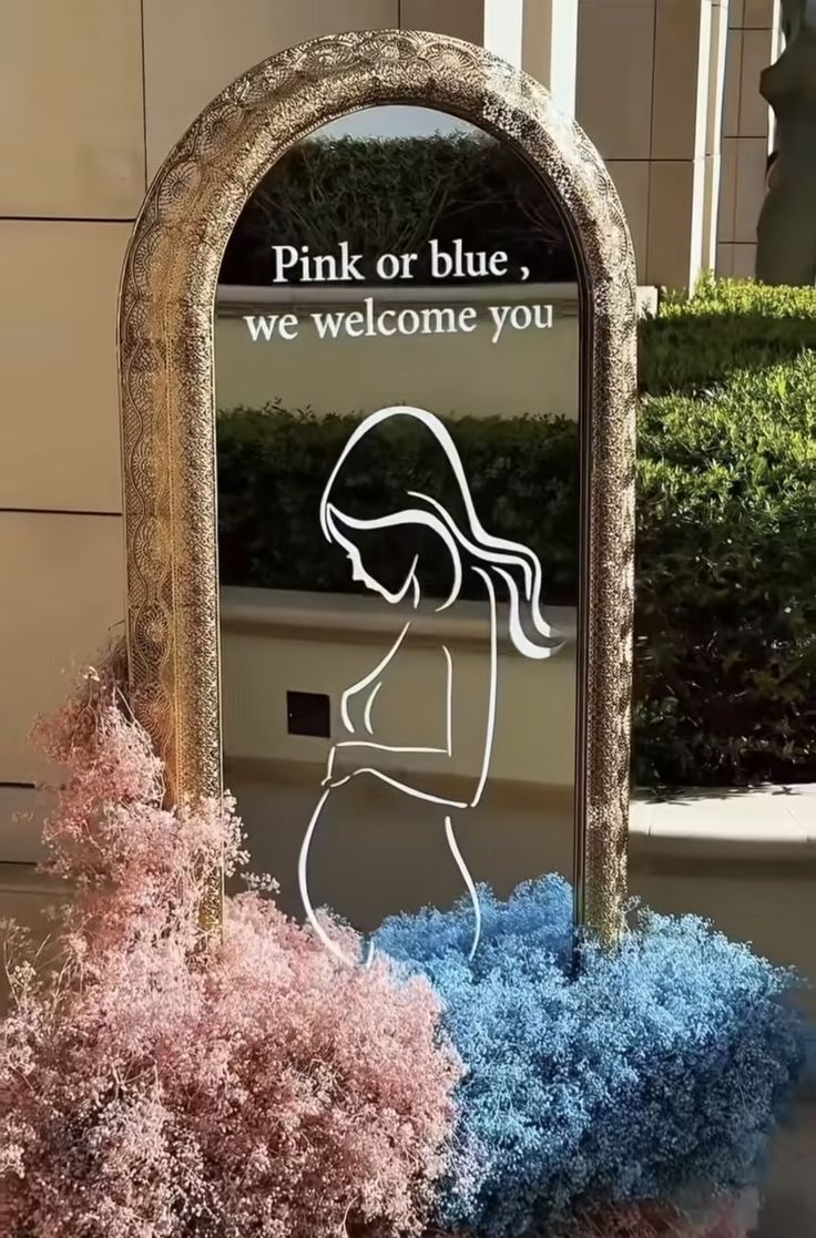 Gender Reveal Decoration Ideas