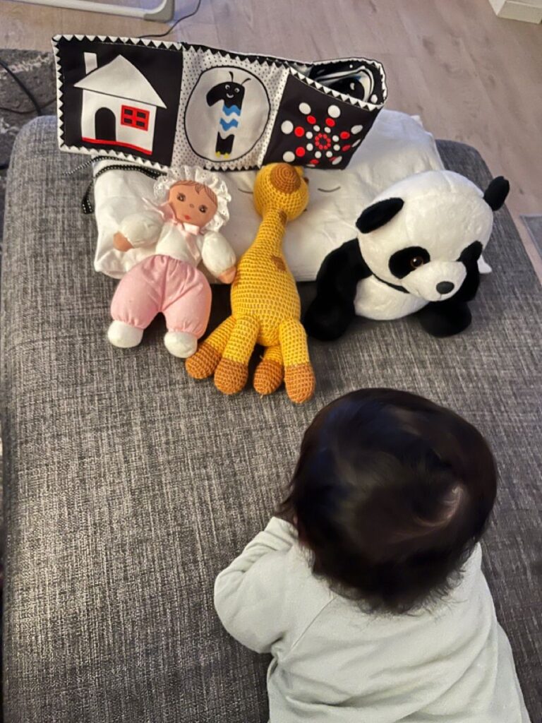 Montessori Activities for 6-Month-Old Babies